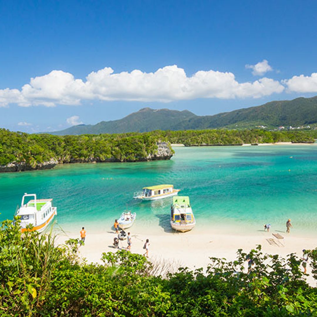 This little-known Japanese island is the top trending travel destination in the world