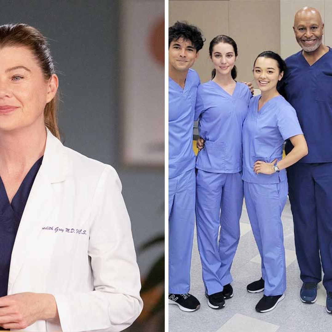 Grey's Anatomy welcomes five new cast members after Ellen Pompeo announces step back
