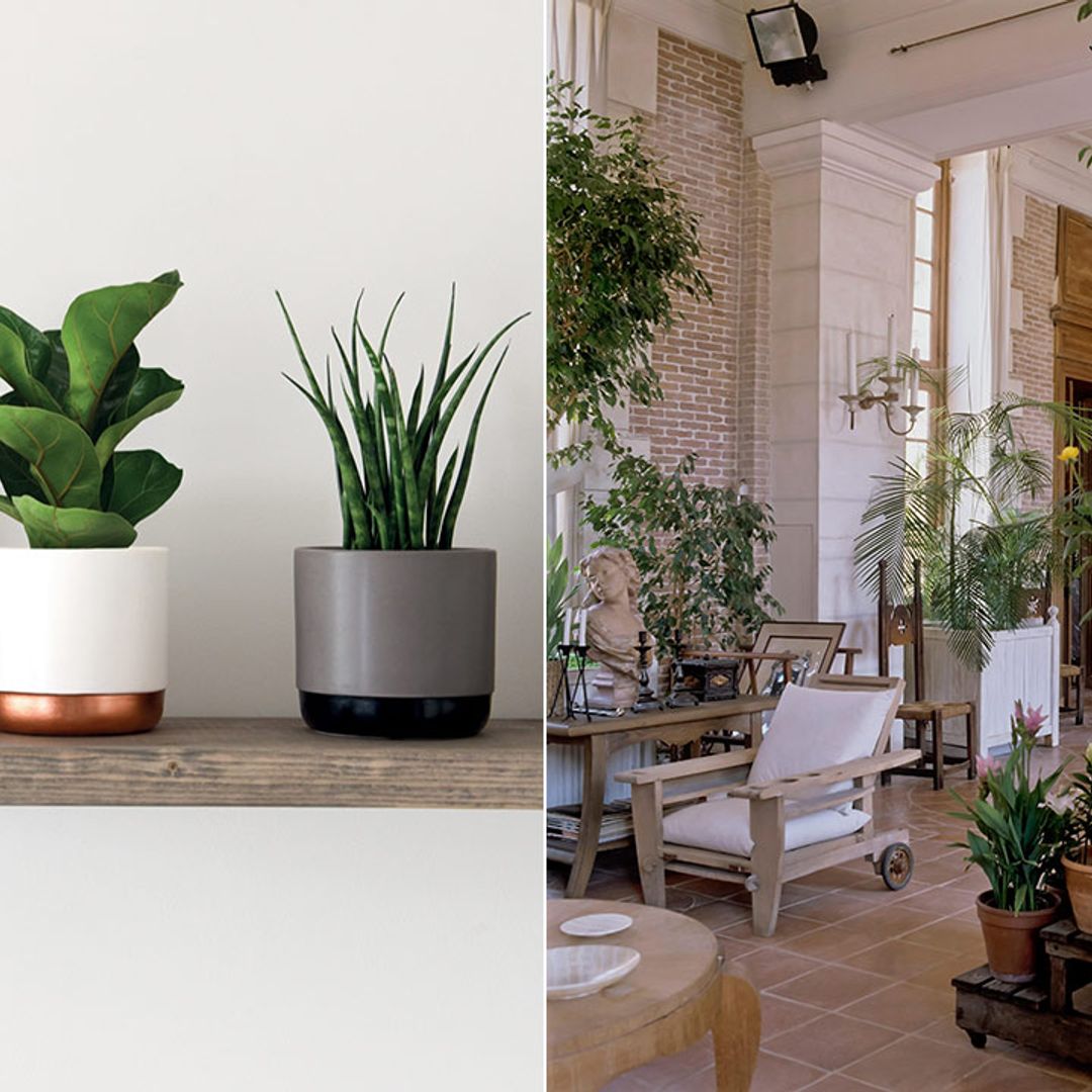 Best plants and gardening accessories to turn your home office into a green oasis