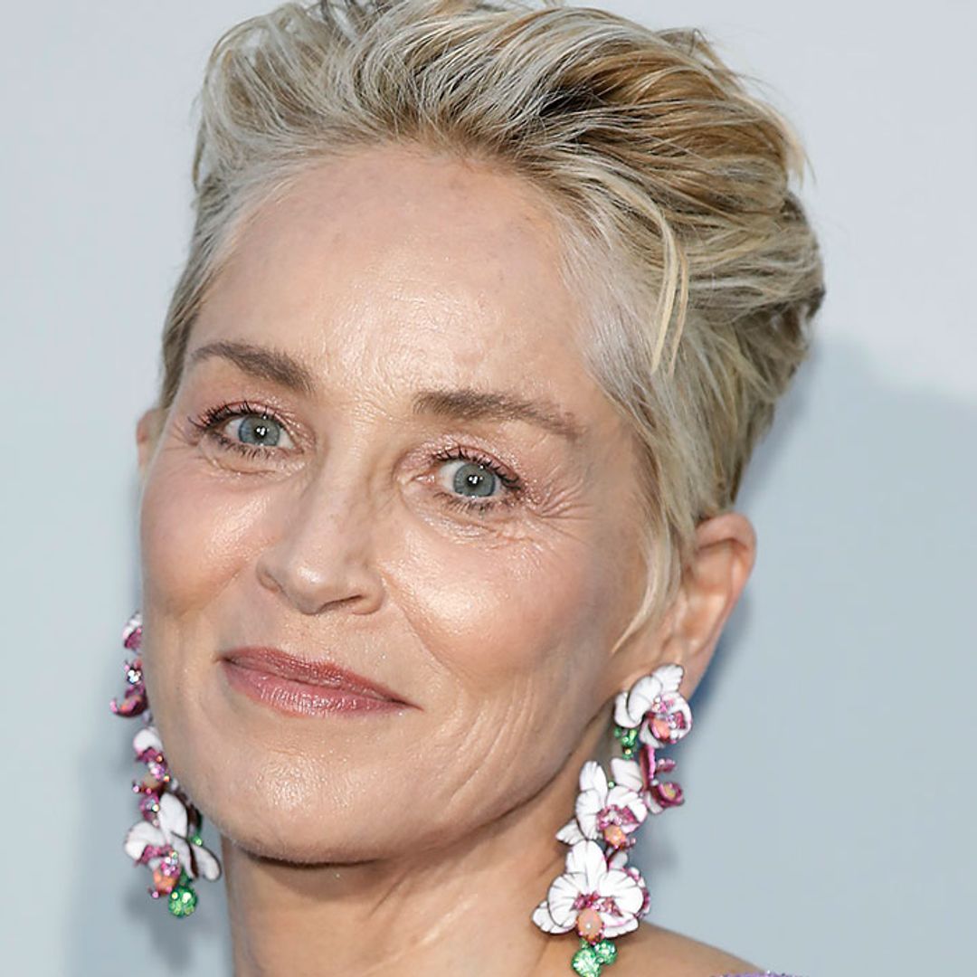 Sharon Stone shares sunbathing picture from France - and gets fans talking for this reason