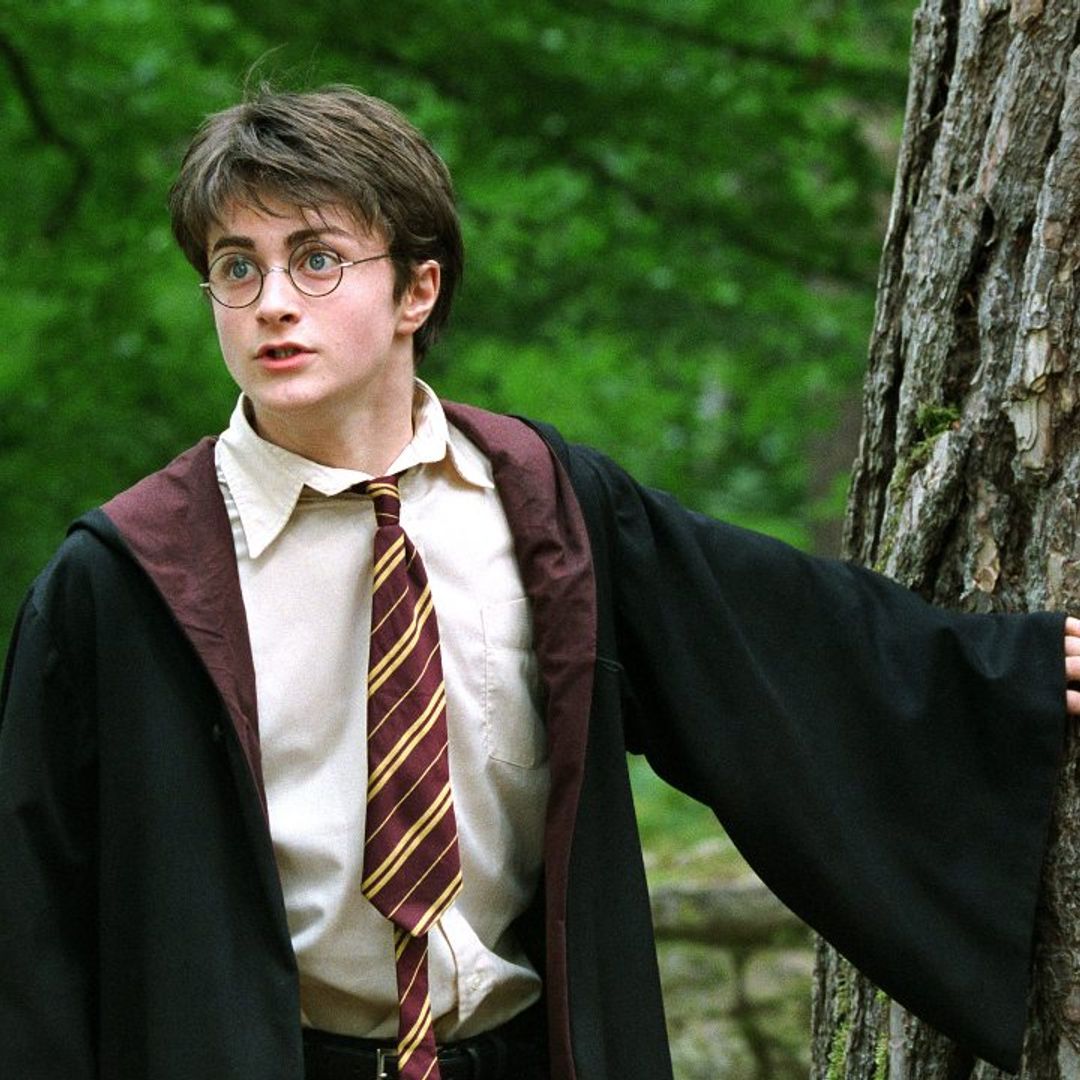 Harry Potter star Daniel Radcliffe reveals dream reboot role 