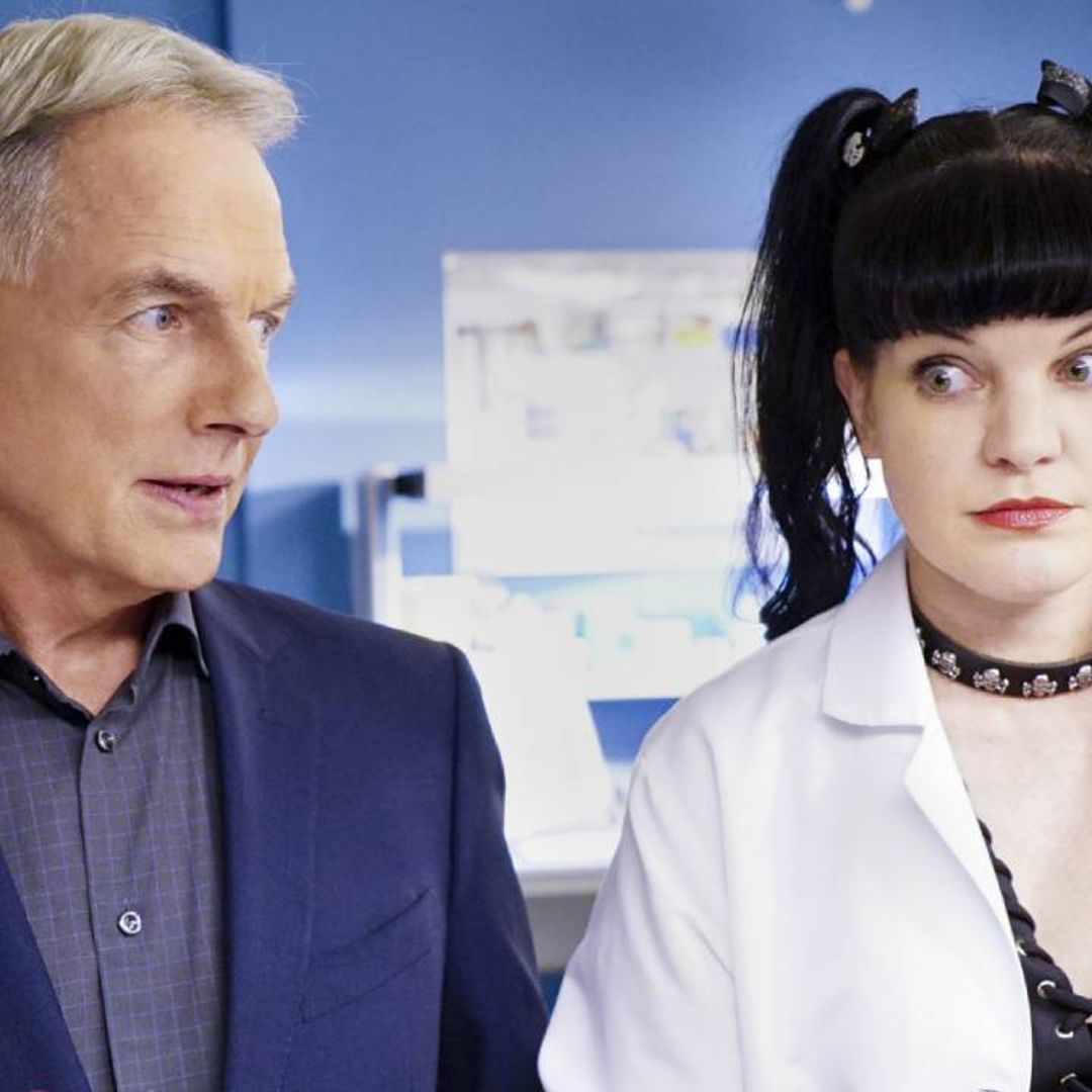 Pauley Perrette's return to NCIS discussed by co-star - unexpected response revealed