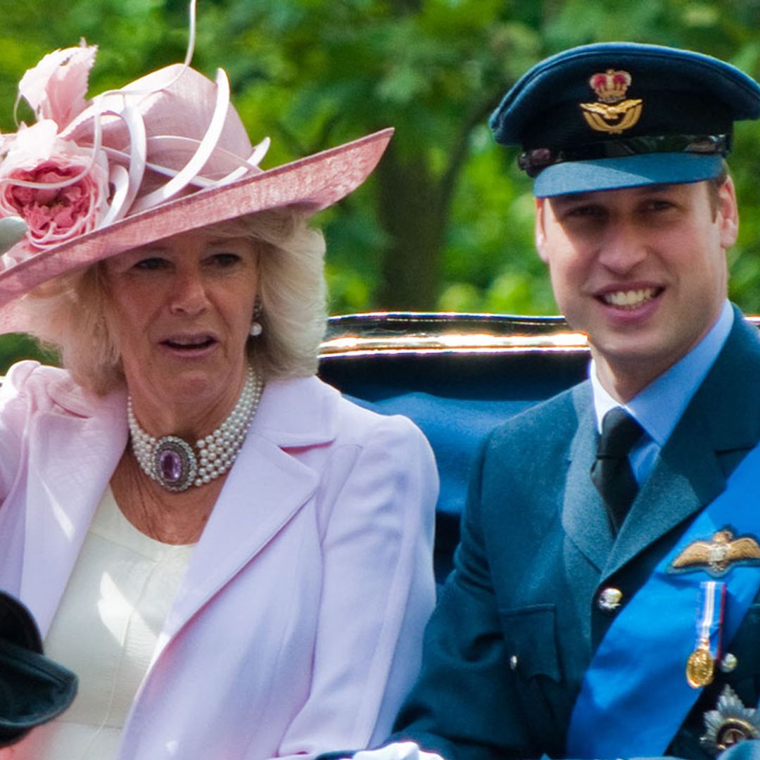 Duchess Camilla has exciting news for 'cider man' Prince William