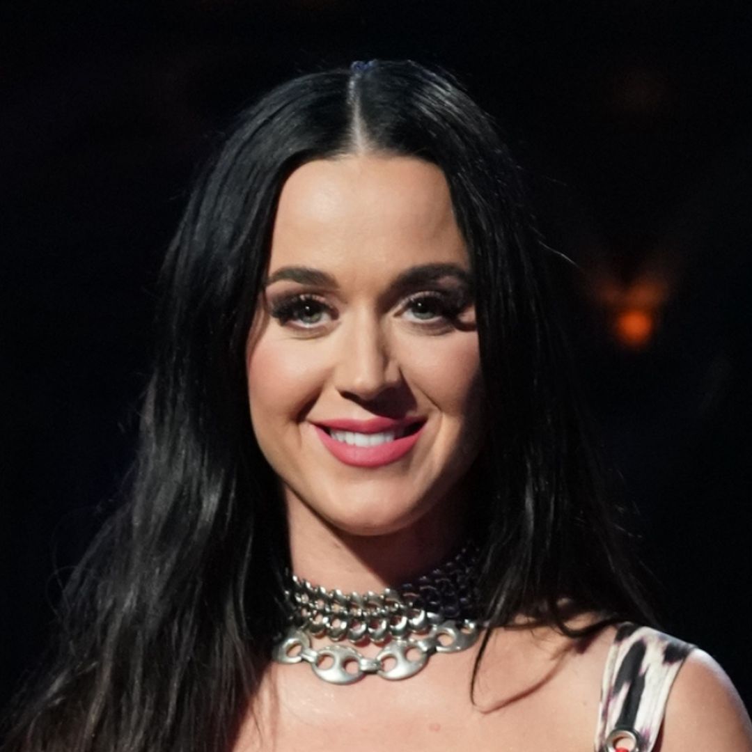 Katy Perry leaves fans in hysterics with waterside segment on American Idol