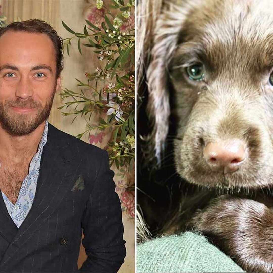 James Middleton shares cute photos of his new puppy Nala 