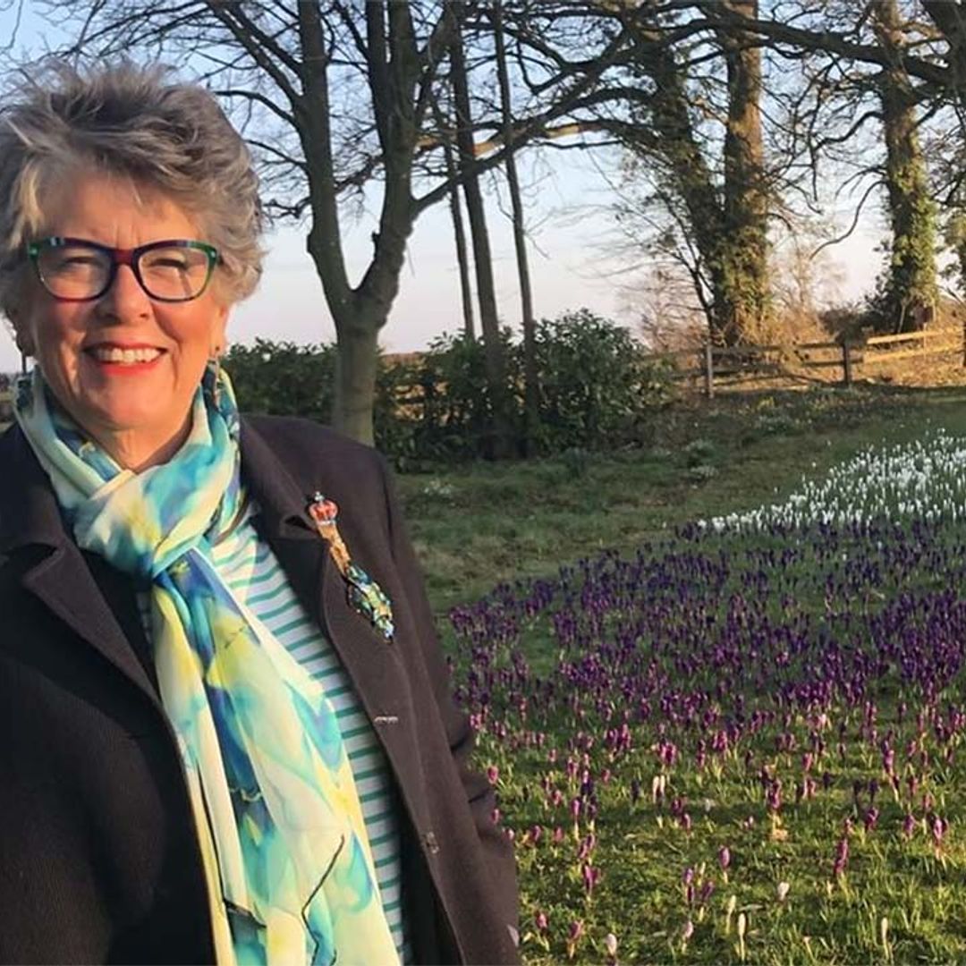 GBBO's Prue Leith's former £10million home has to be seen to be believed