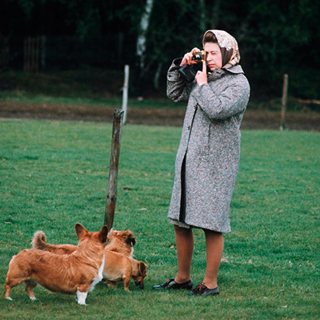 The Queen saddened by death of her last corgi Whisper