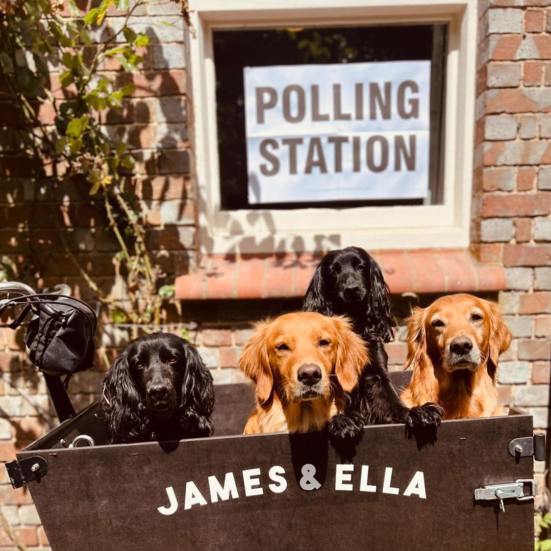 James Middleton can't resist jumping on the dogs at polling stations trend