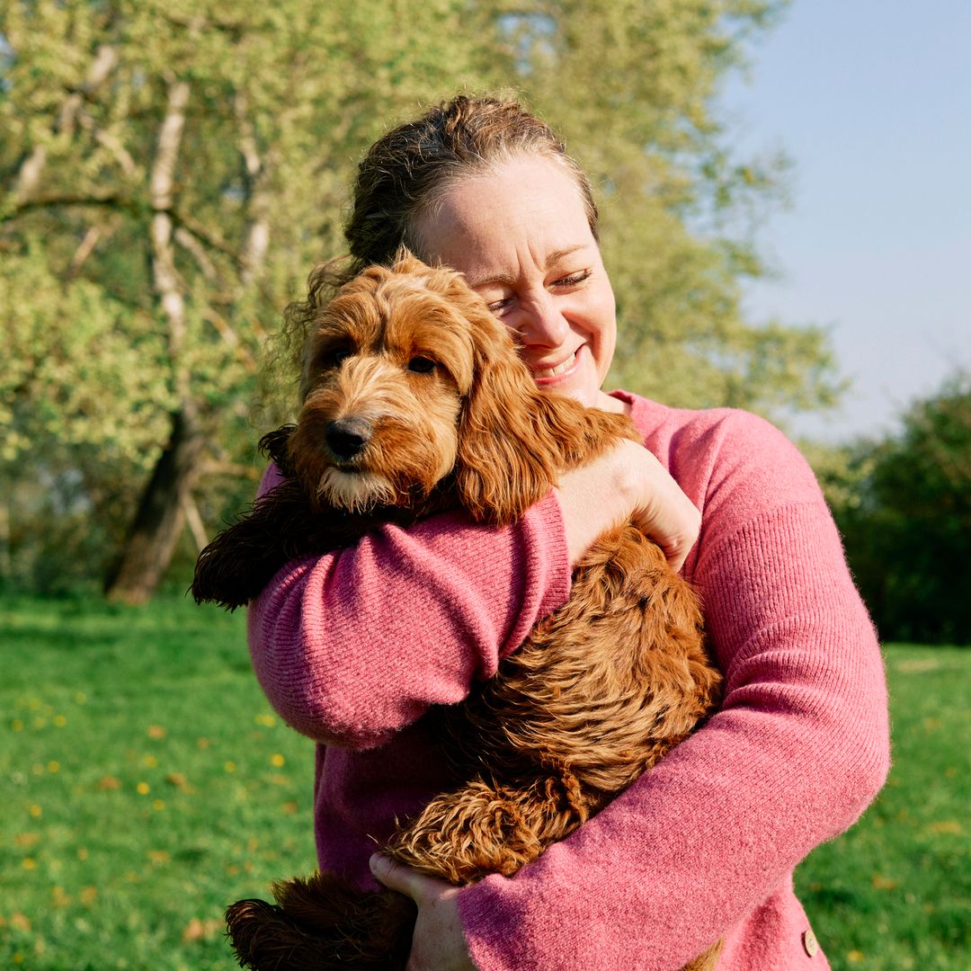 5 most affectionate dog breeds for emotional support: from Golden Retrievers to Pugs