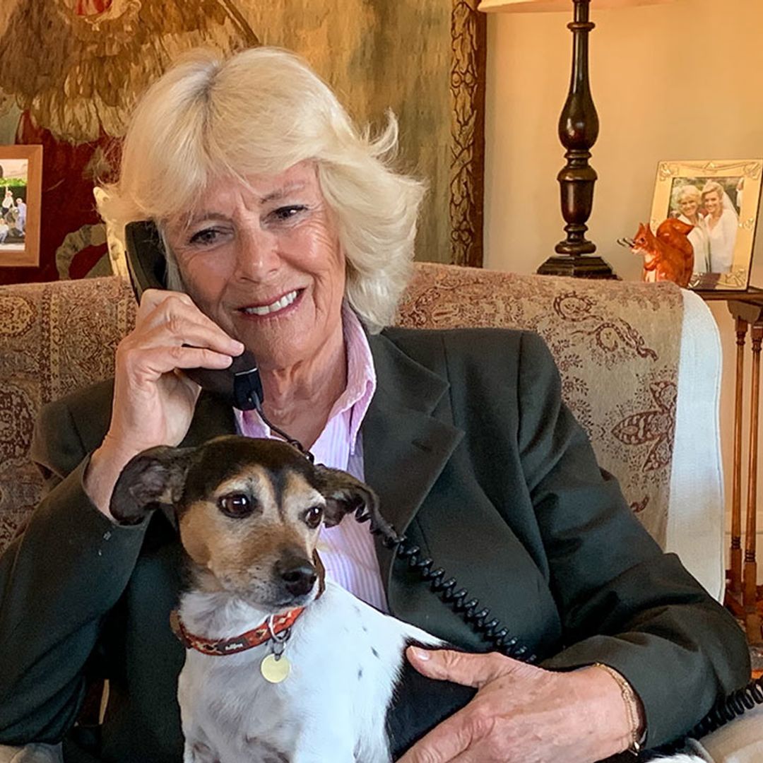 Duchess of Cornwall shares a rare look inside Birkhall home – see photo