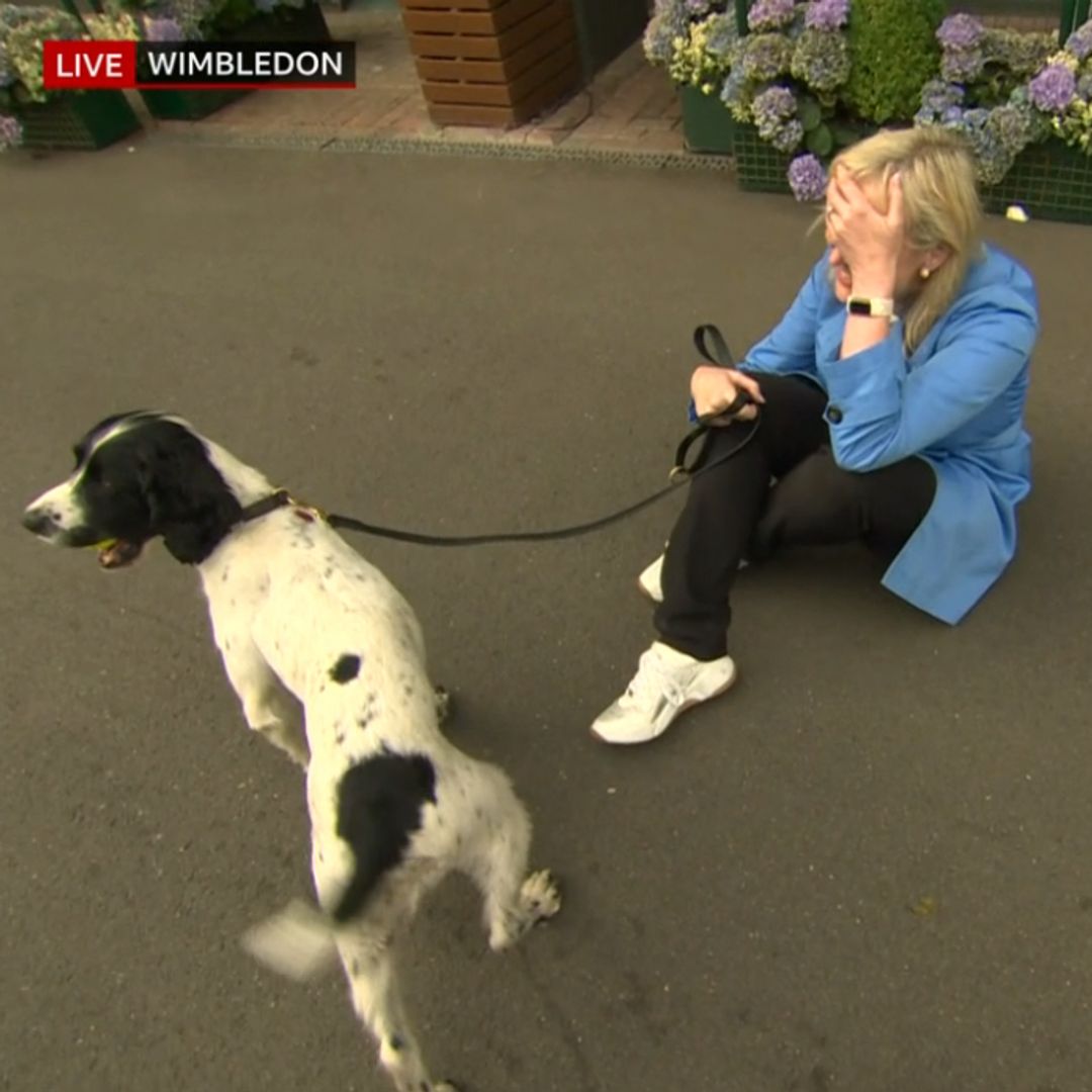 BBC Breakfast star Carol Kirkwood sparks concern from co-stars after she's pulled to ground by dog