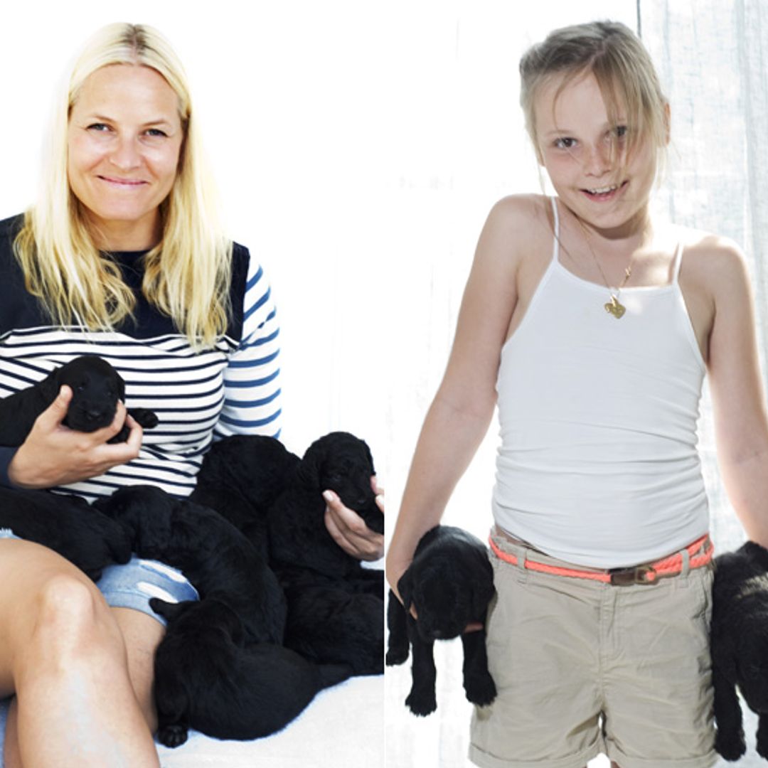 A family portrait of the Norwegian royals with their adorable new pups