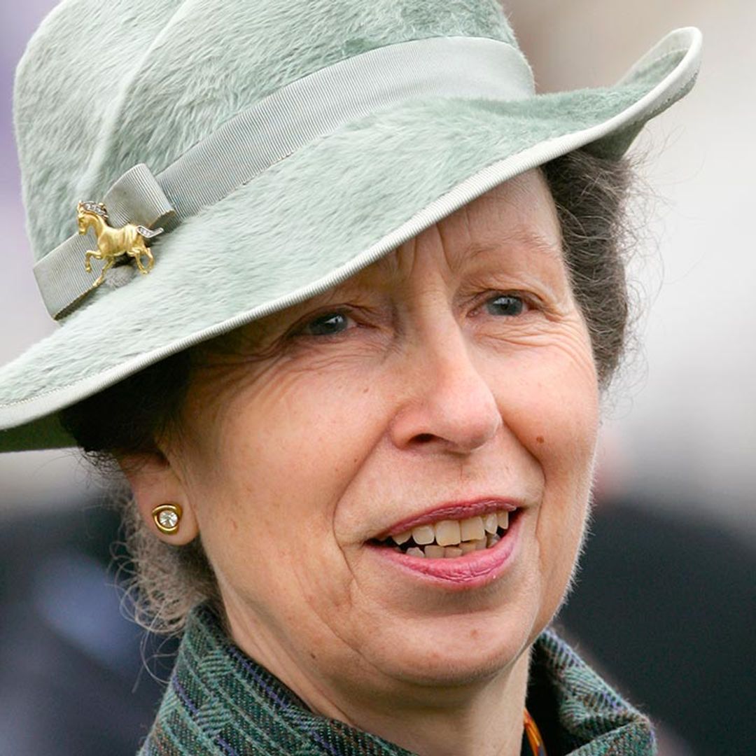 Princess Anne wore the most apt accessory for latest royal duty