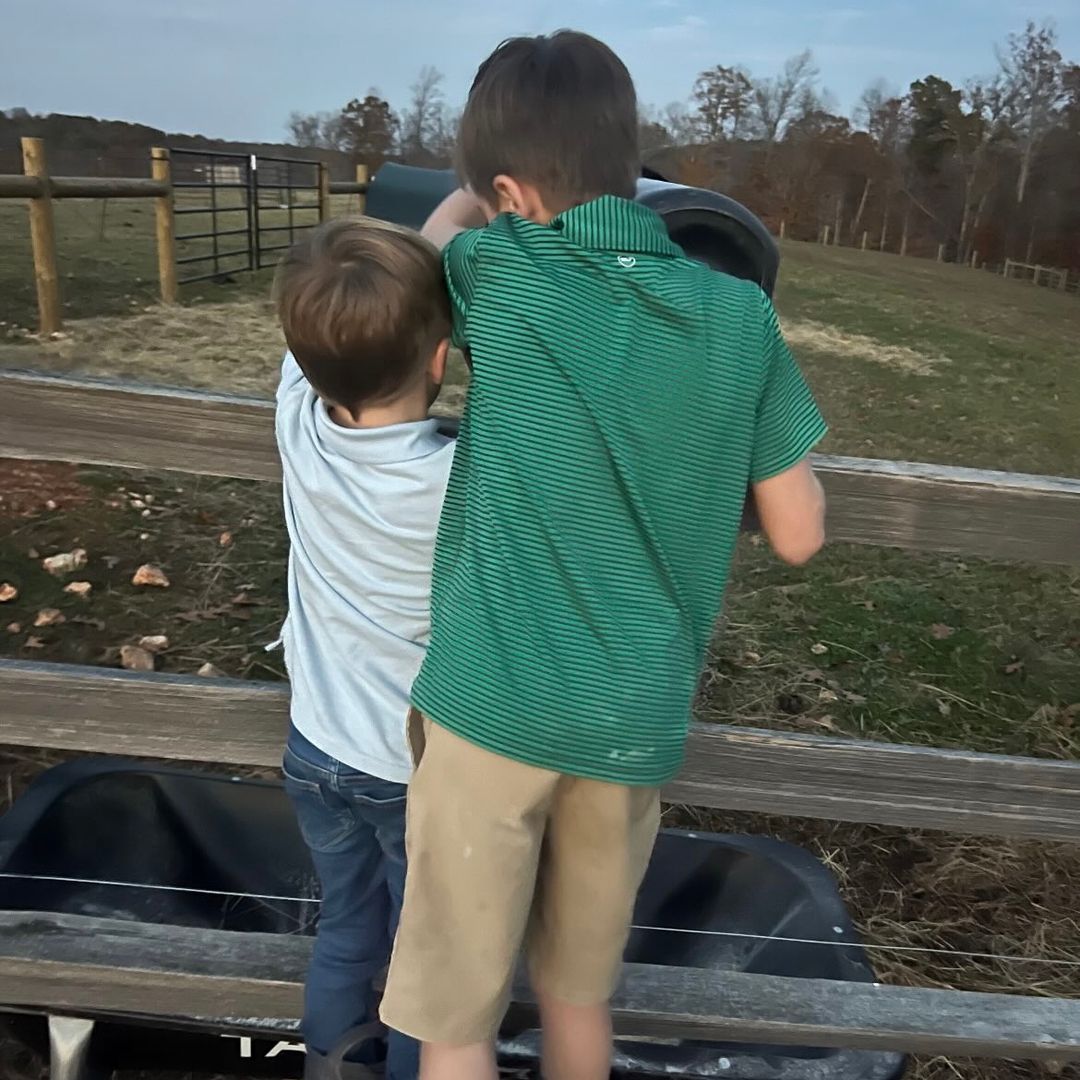 Carrie Underwood's sons feed the cows on their ranch