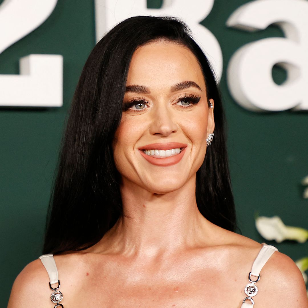 Meet Katy Perry's 2 musical siblings