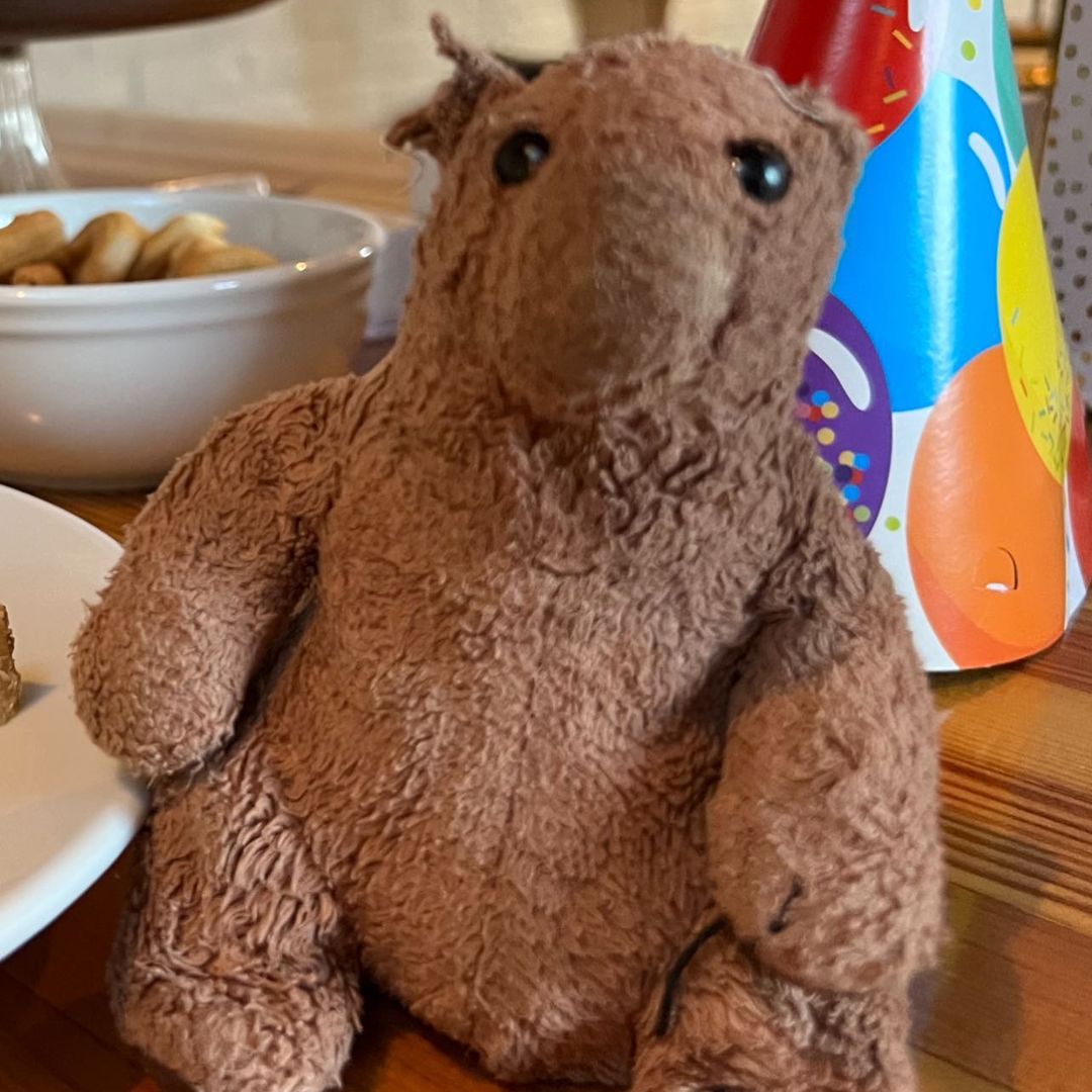 A brown bear plush toy
