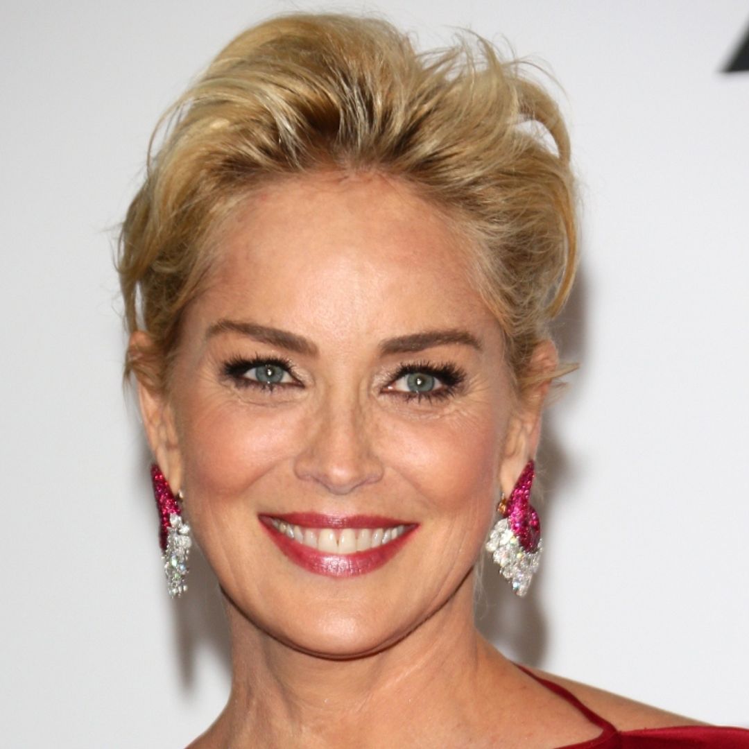 Sharon Stone looks regal in cut-out black gown beside her dog Bandit