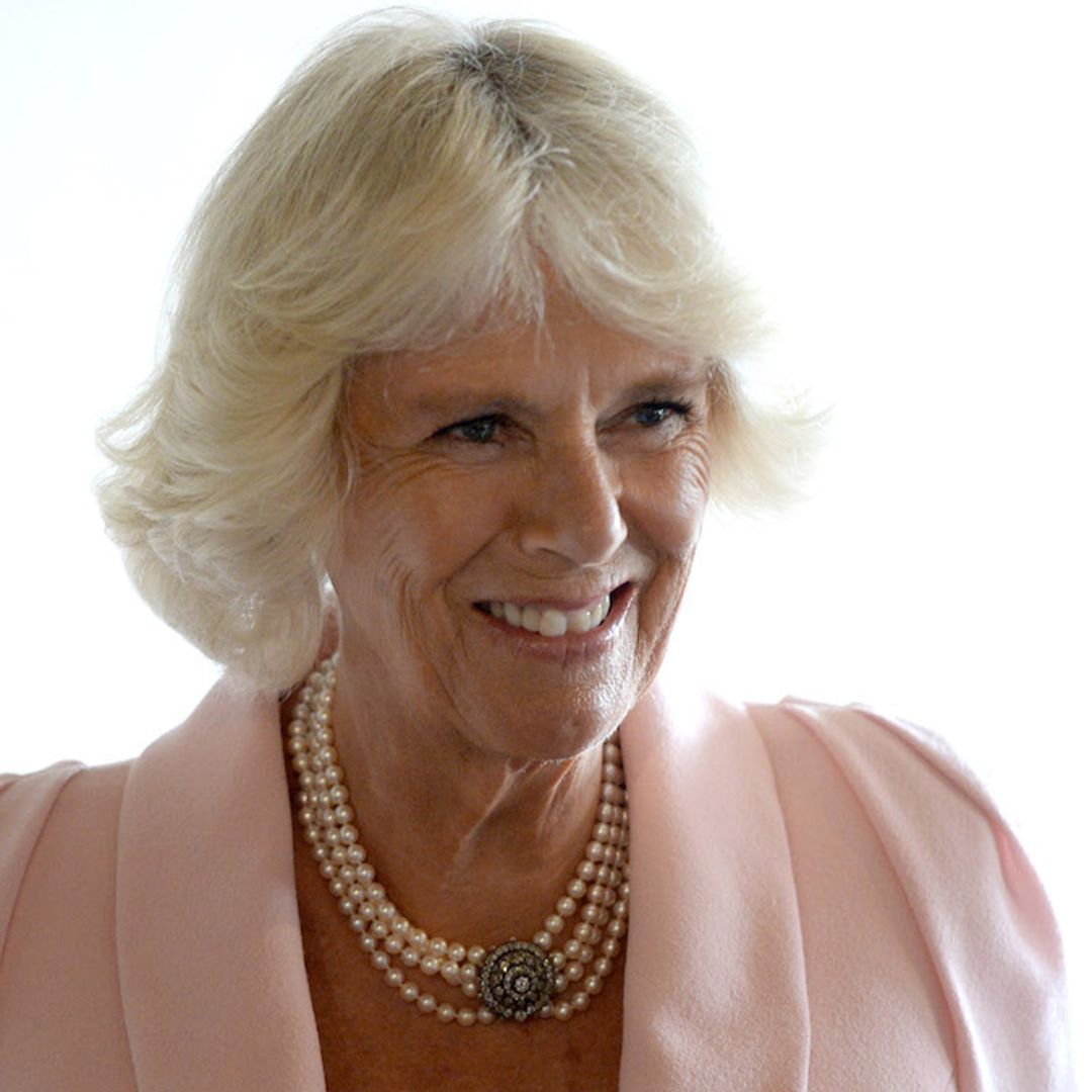 Duchess Camilla works from home in the most elegant pastel outfit