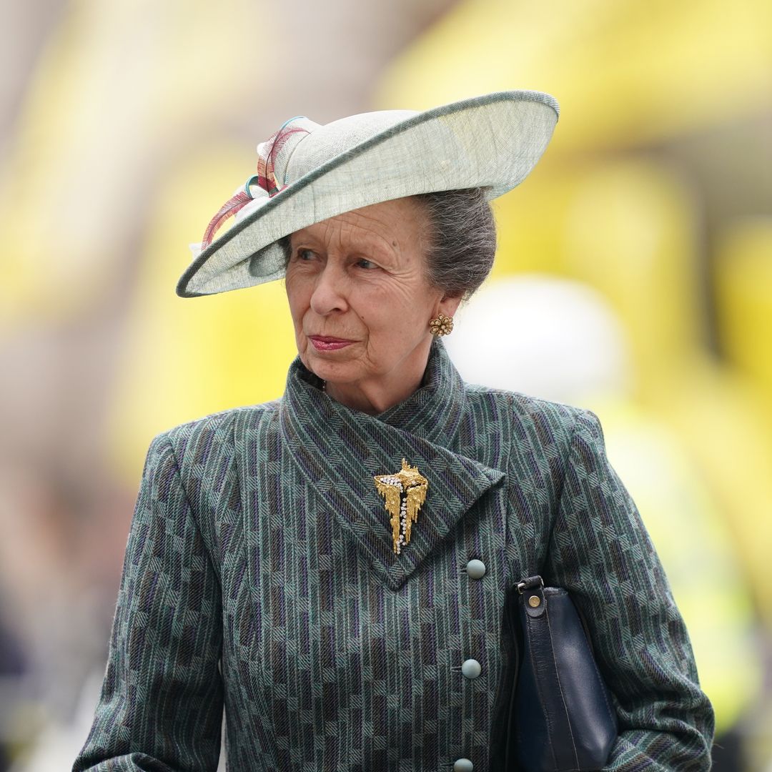 Princess Anne recycles decade-old coat and £16k diamonds for royal rendezvous