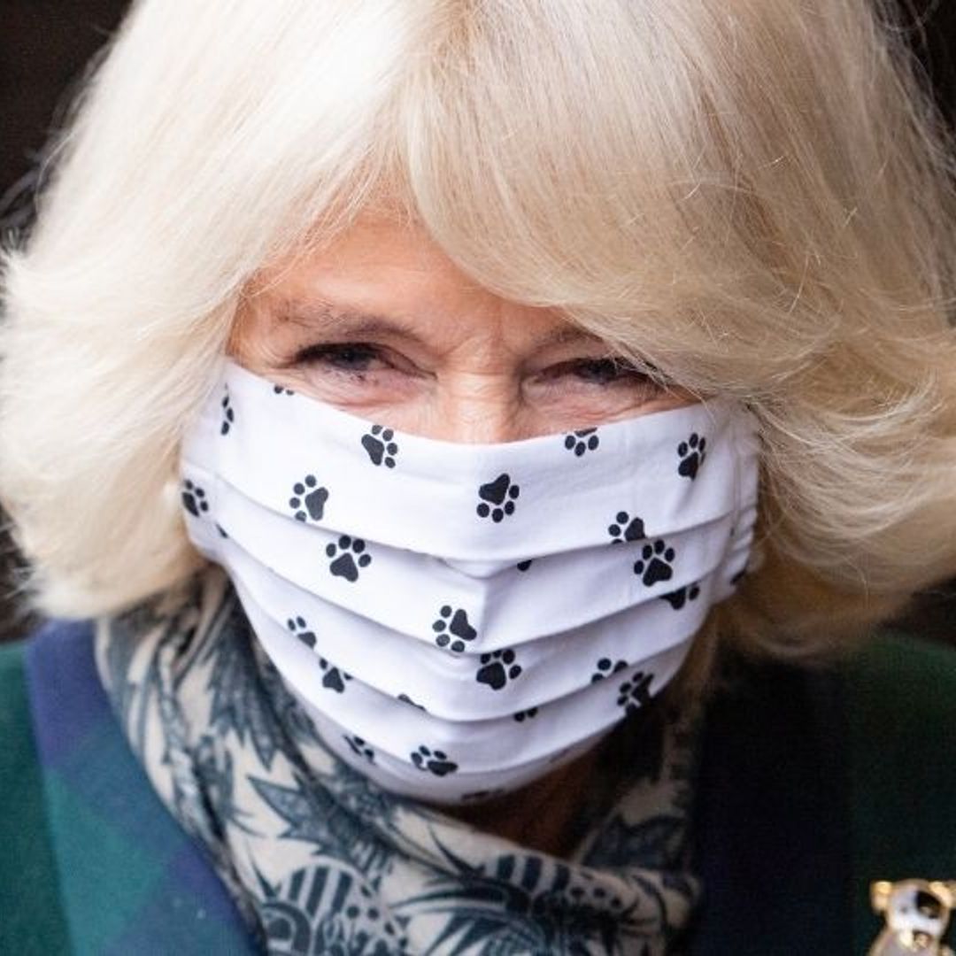 Duchess Camilla's dog hilariously helps her unveil a plaque at royal engagement