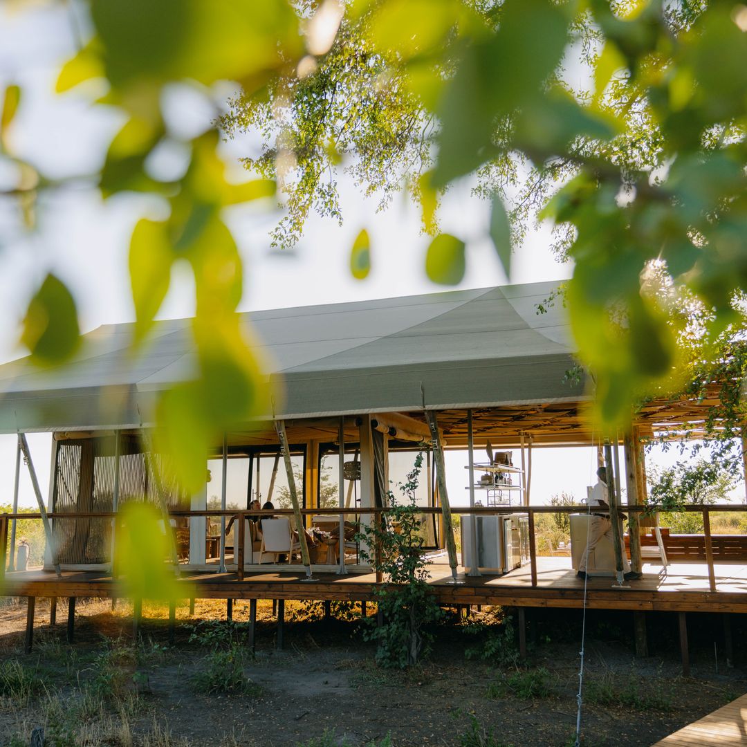 Your guide to a luxury safari trip in Botswana