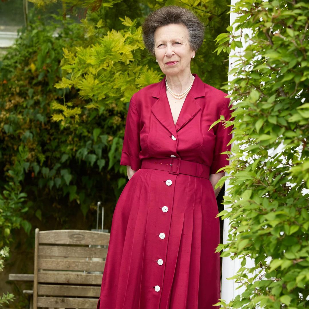 New image of Princess Anne released as royals mark VJ Day