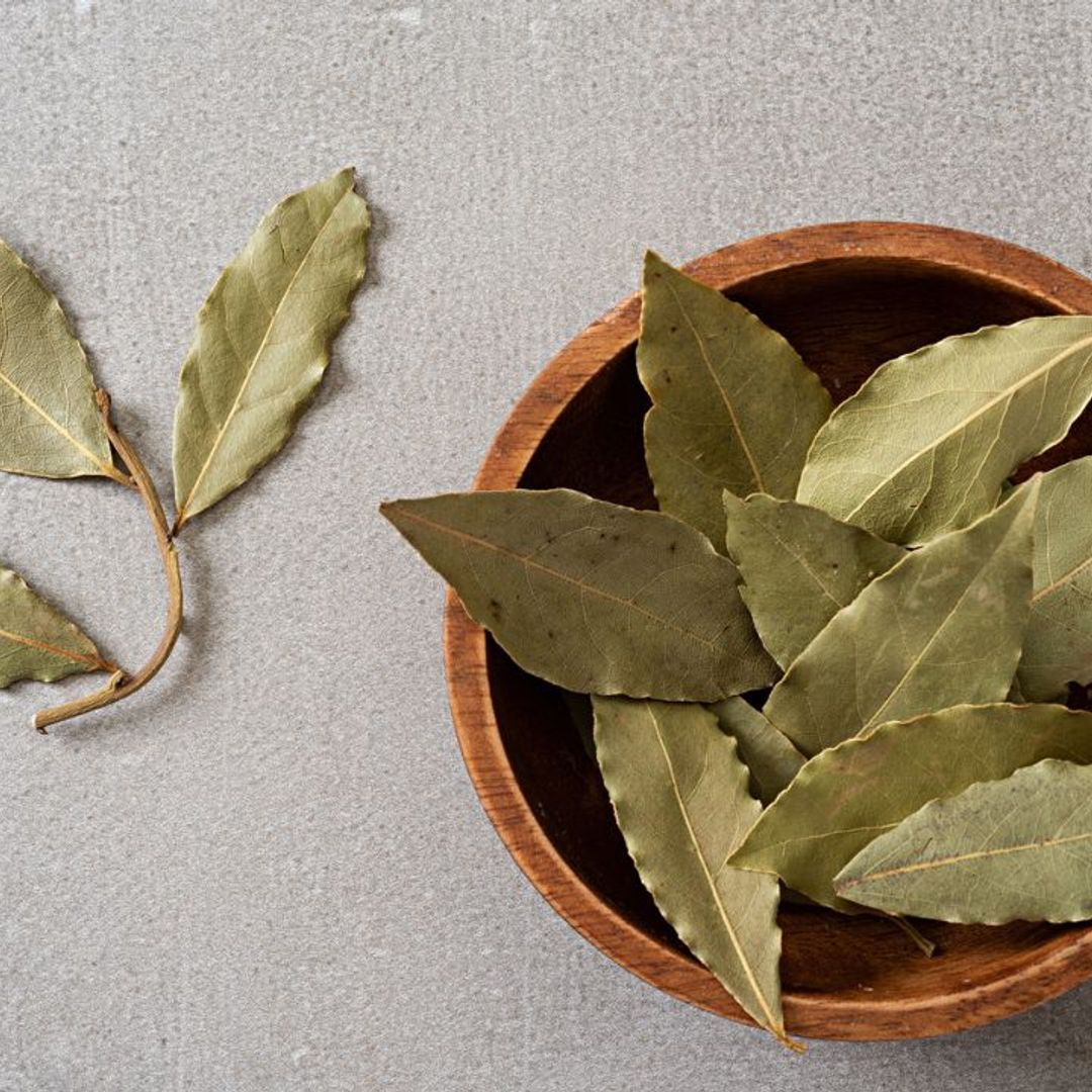 'Bay Leaf Manifestation' is the latest wellness trend taking over TikTok