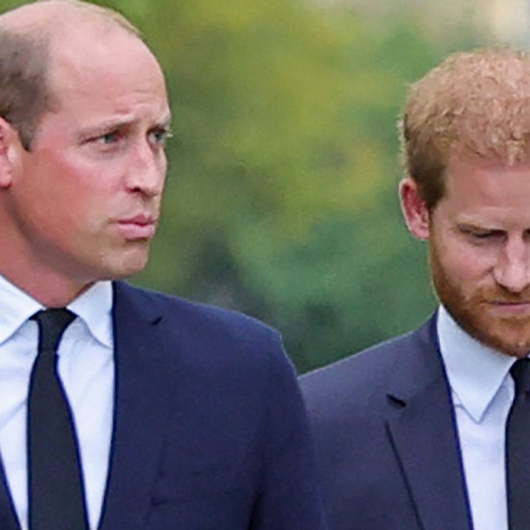 Prince William and Prince Harry's outfits for joint appearance leave fans asking questions