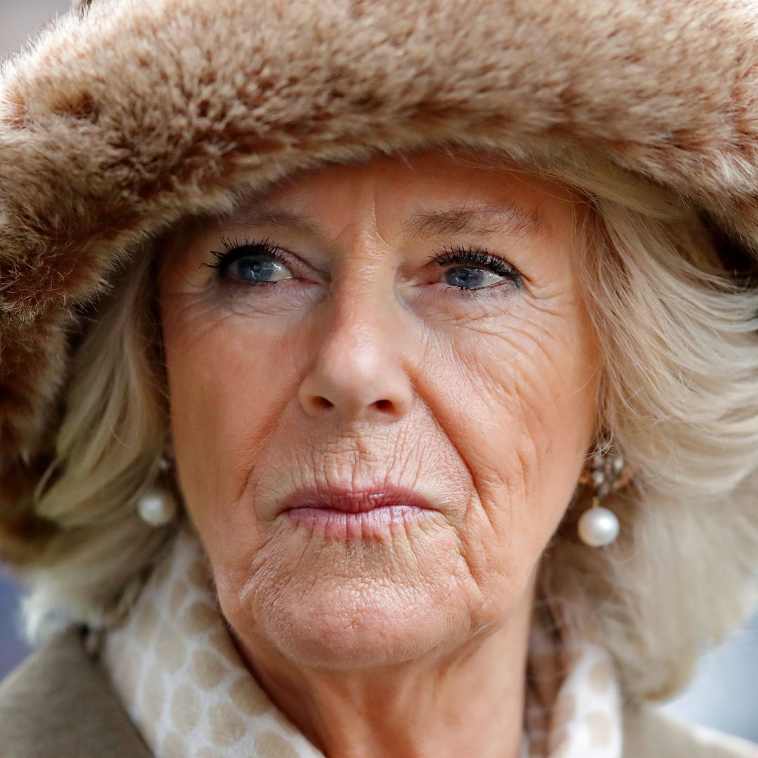 Queen Consort Camilla 'hurt' by Prince Harry's comments in bombshell memoir Spare