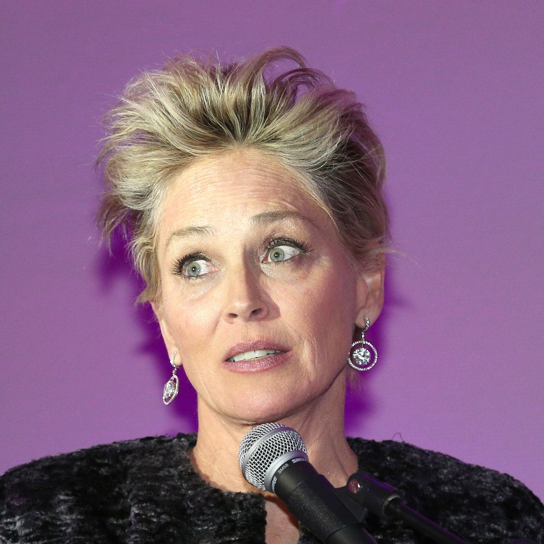 Sharon Stone, 66, reveals LA wildfires left her unable to walk without help