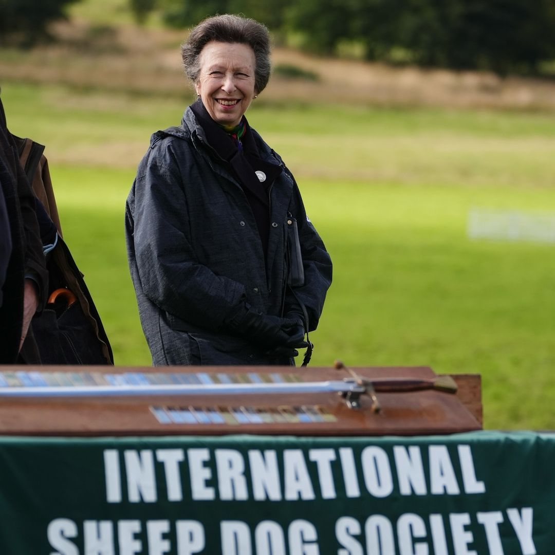 Hardworking Princess Anne thrills fans in leather boots and silk scarf