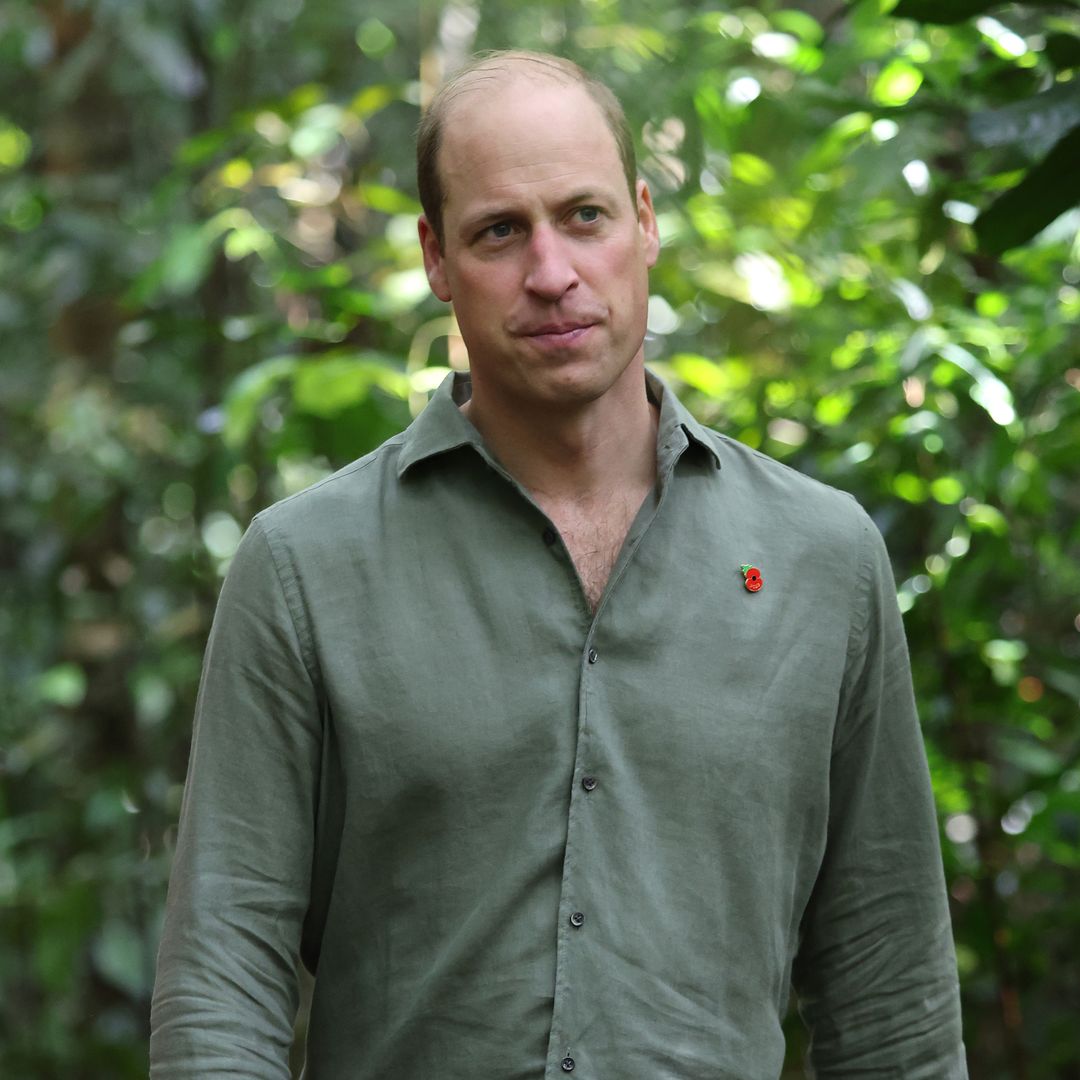 Prince William wants to 'go a step further' than royal family to support his causes