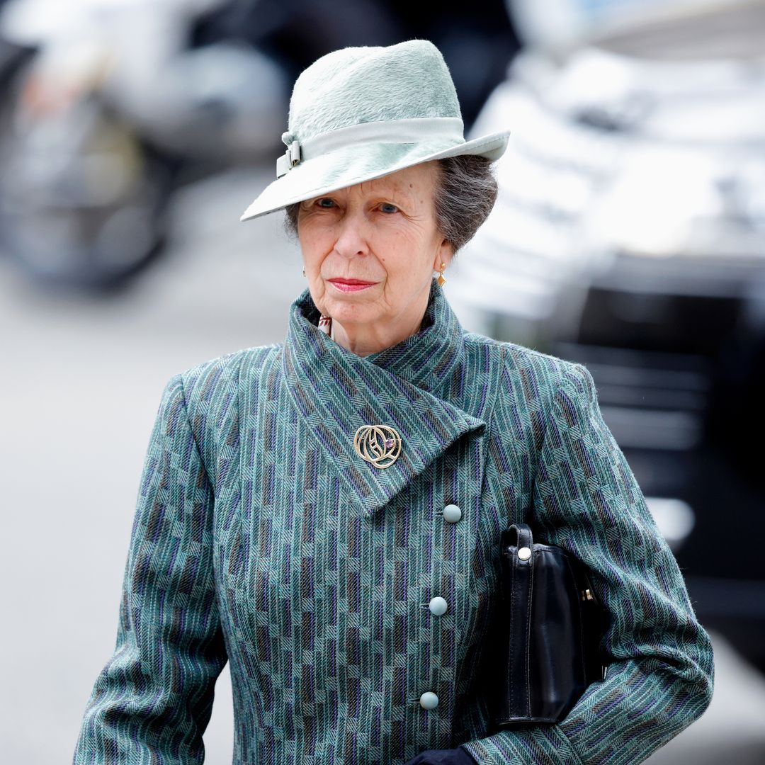 Princess Anne shares deep sadness in first public message since leaving hospital