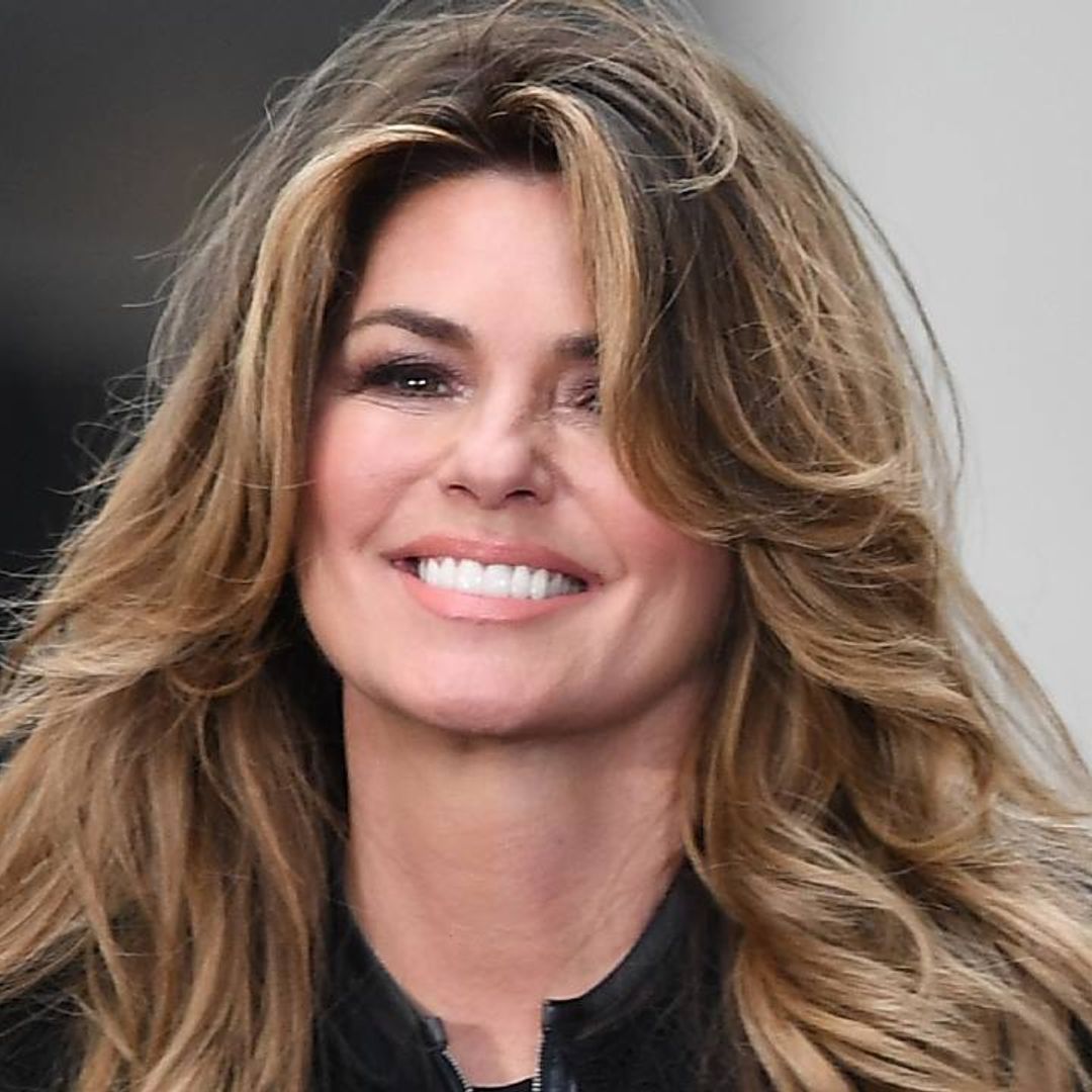 Shania Twain smoulders in sparkly gown with leopard print embellishment