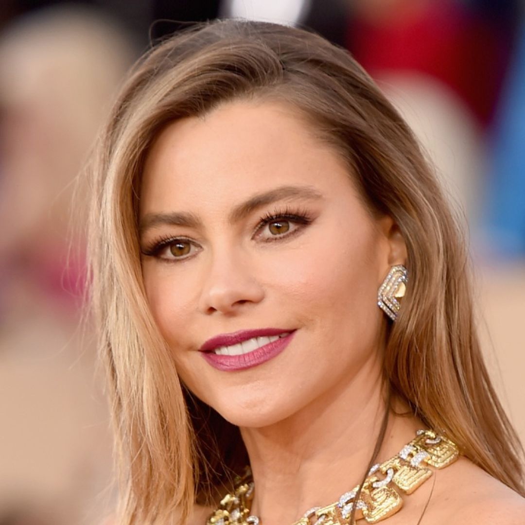 Sofia Vergara leaves fans speechless with daring throwback picture