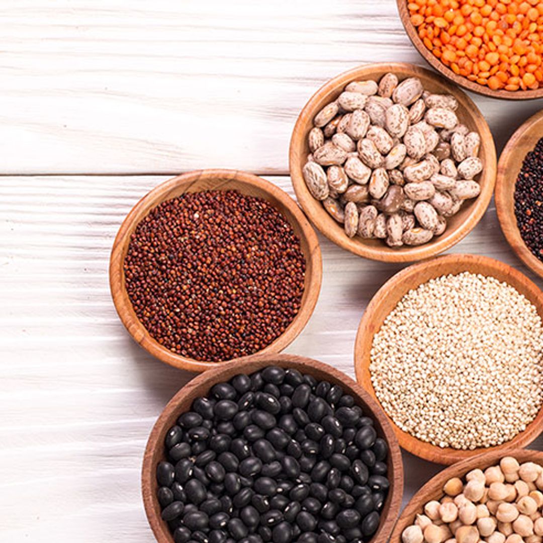 The 8 plant based proteins you need to try, and why