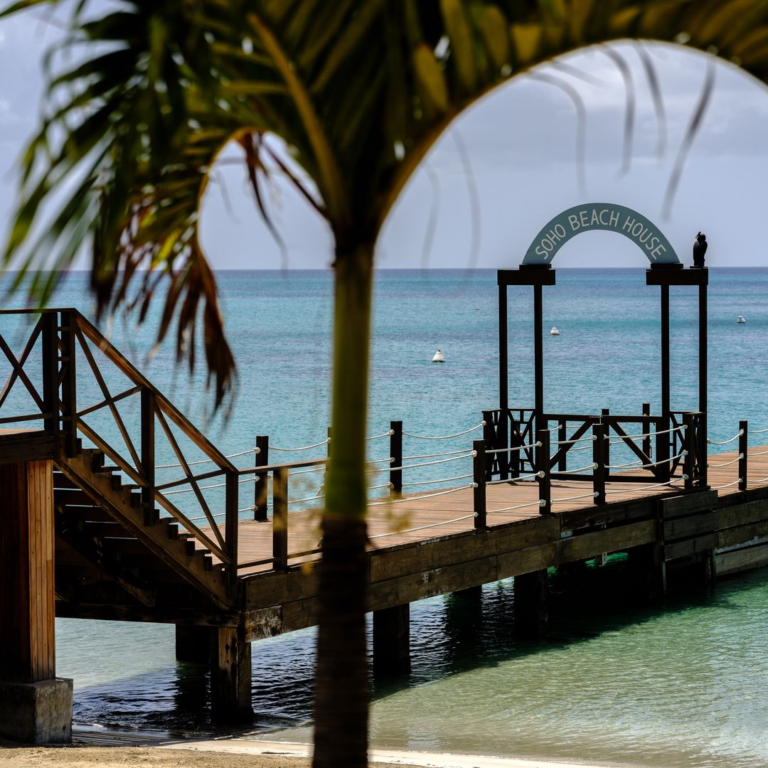 jetty on the caribbean ocean with palm trees in the foreground