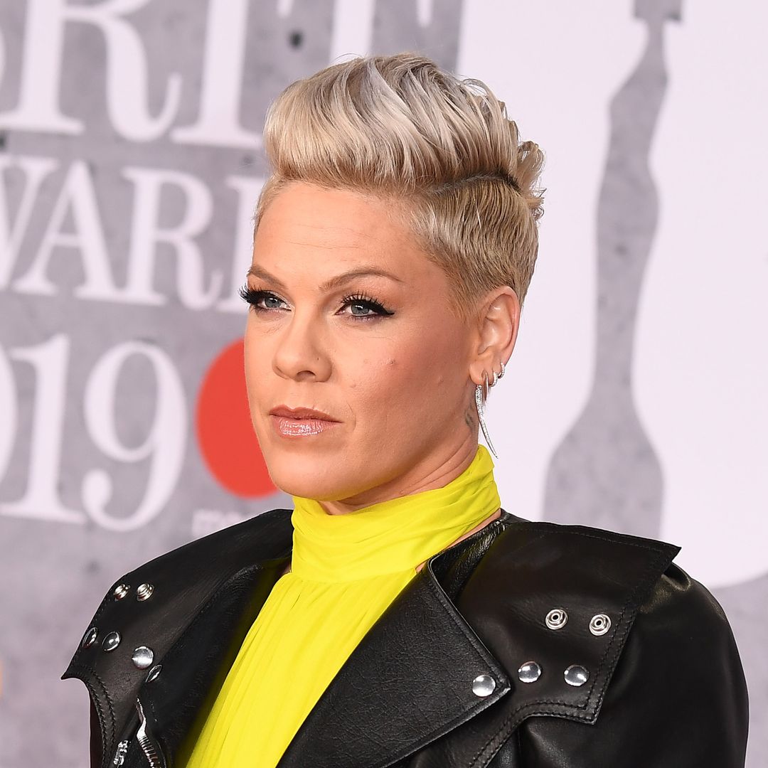 Pink dispels 'fake stories' with the help of daughter Willow in new video