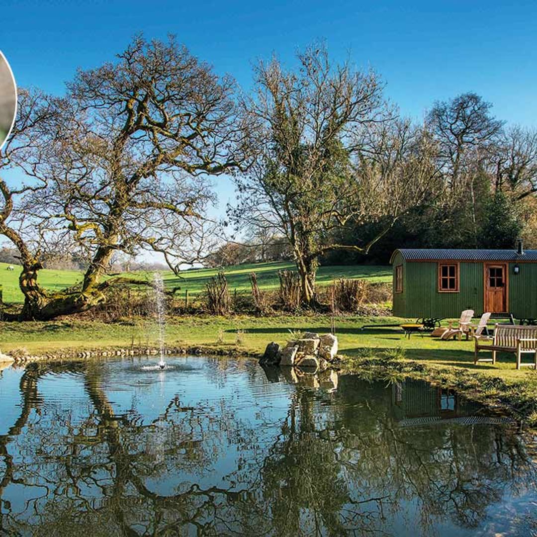 Glamping in a shepherd's hut and trekking with llamas: a staycation with a difference