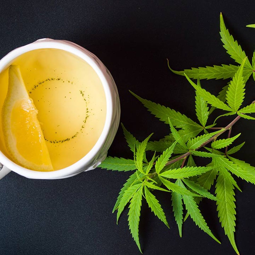A rising trend for CBD-infused drinks sees the launch of a new tea with botanical hemp CBD extract