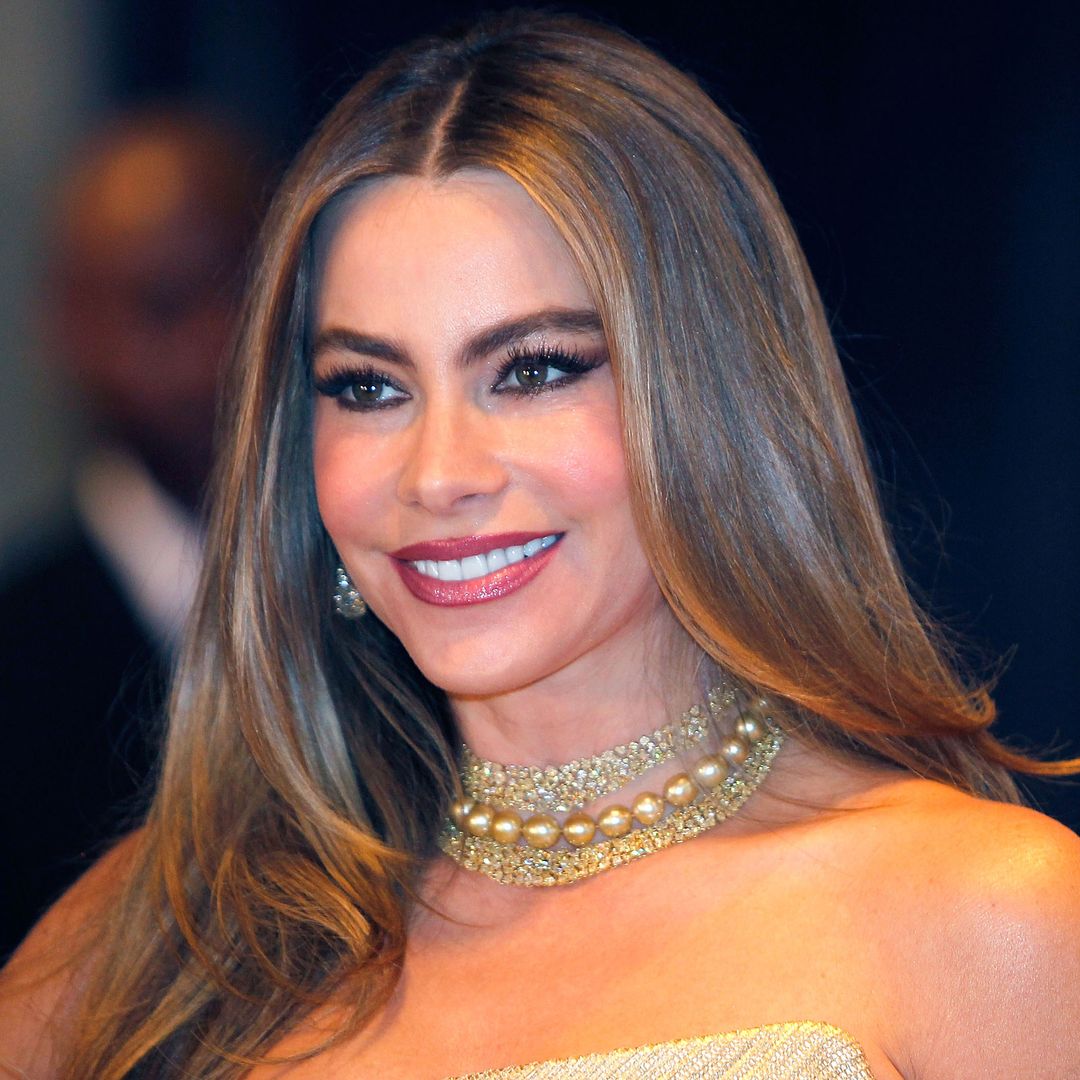 Sofia Vergara wows in fitted lace corset in incredible throwback photo