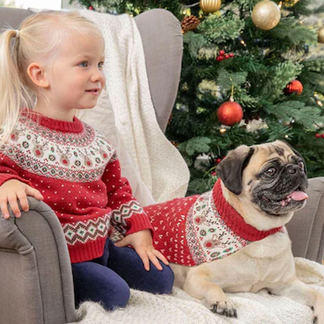 6 pawfect Christmas jumpers for your dog