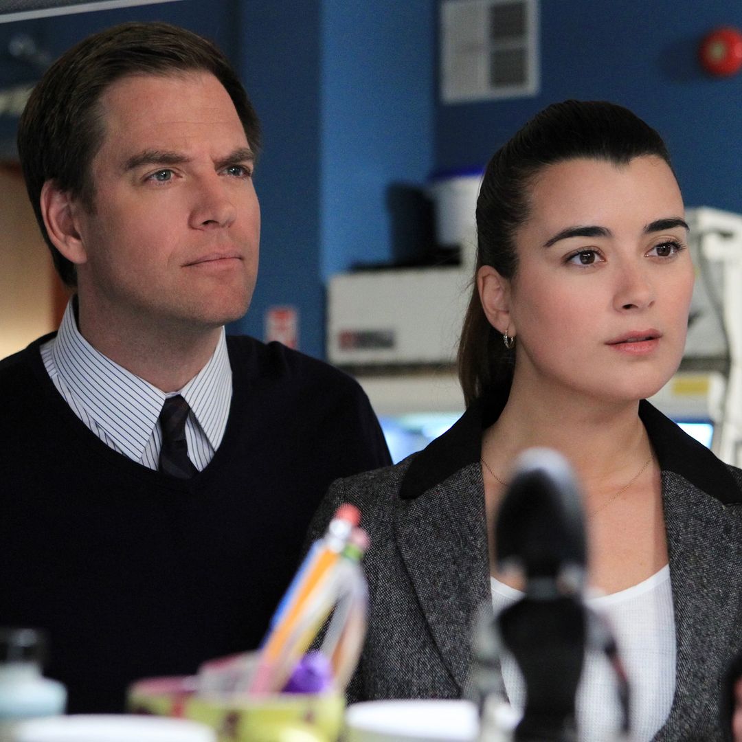 Michael Weatherly sends NCIS fans into frenzy as he shares photo with former co-star Cote de Pablo