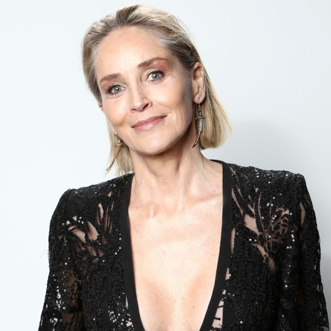 Sharon Stone shares unique transformation for latest project