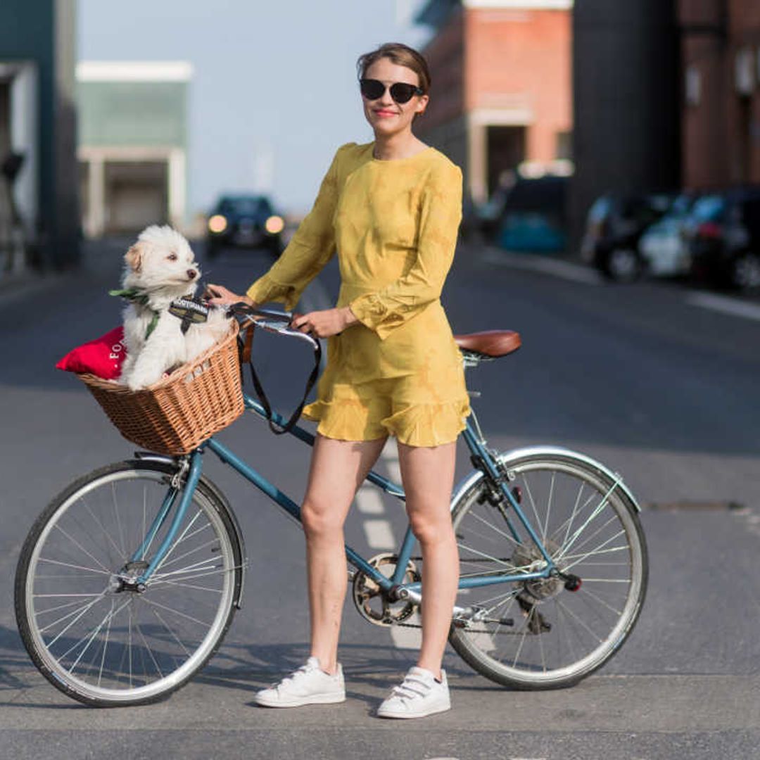 12 best bikes with baskets for ladies: Get inspired with these stylish bicycles