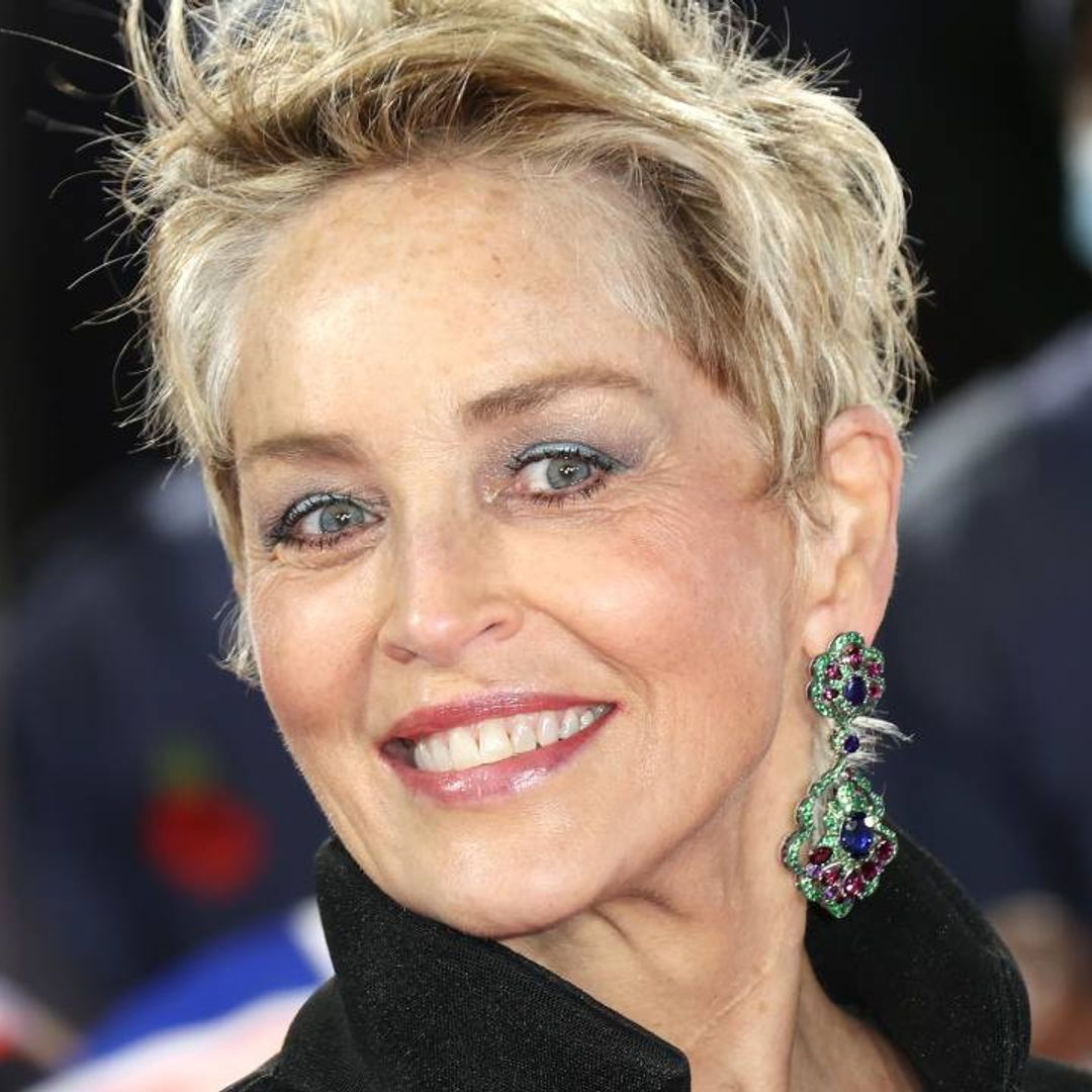 Sharon Stone turns heads in dramatic black gown at the Pride of Britain Awards