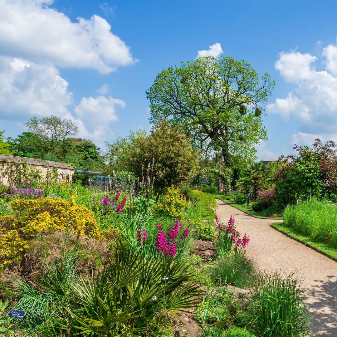 Gardeners' World fans rocked by 'legend' star's shock cancer diagnosis