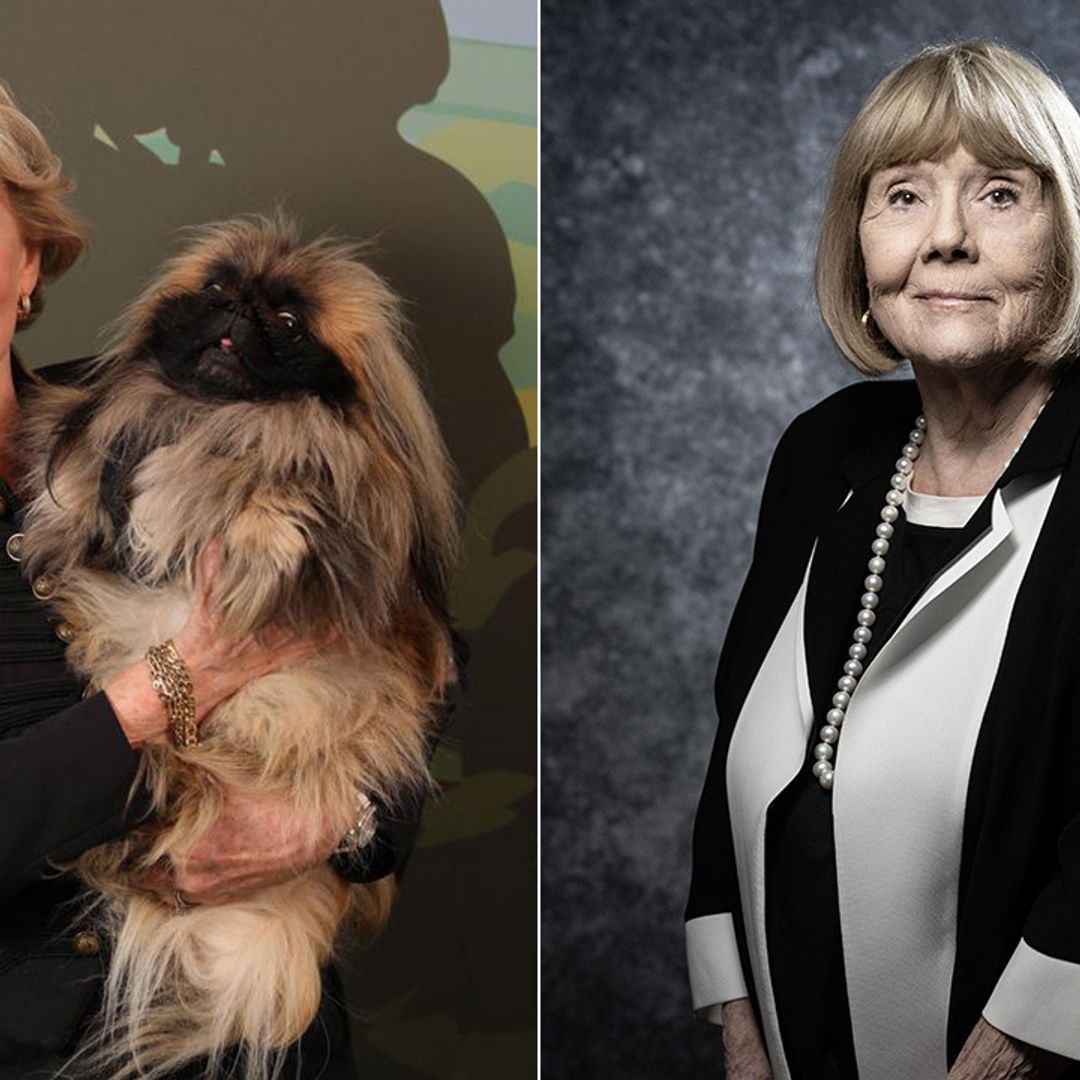 Patricia Hodge reveals what it was like to replace Diana Rigg on All Creatures Great and Small