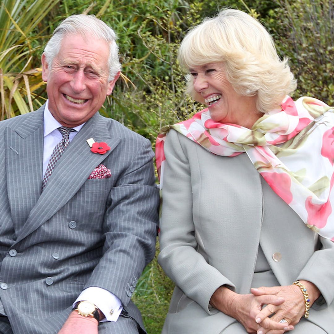 Prince Charles and Camilla's tongue-in-cheek new photo has fans laughing