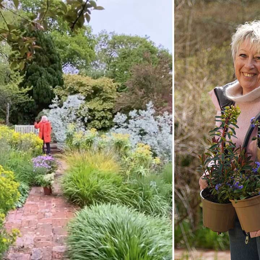 Summer Gardening presenter Carol Klein's never-ending garden is breathtaking - see it here